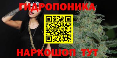 мдпв Аргун