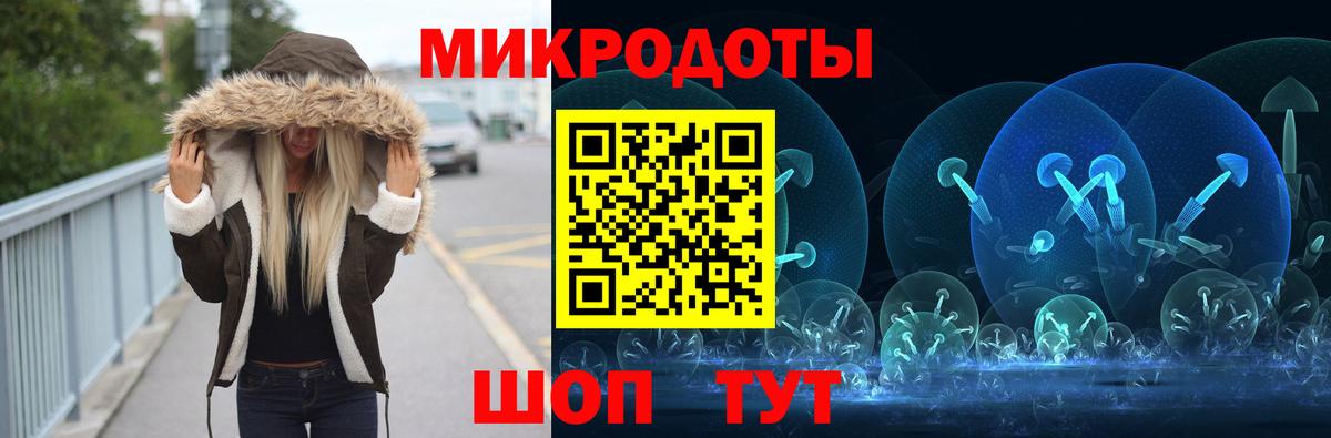Псилоцибиновые грибы Psilocybe  Галлюциногенные грибы MAGIC MUSHROOMS  Вход с VPN  Большой Камень 